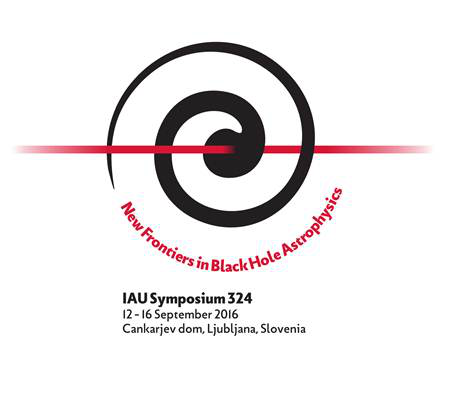 IAU Symposium 324: New Frontiers in Black Hole Astrophysics