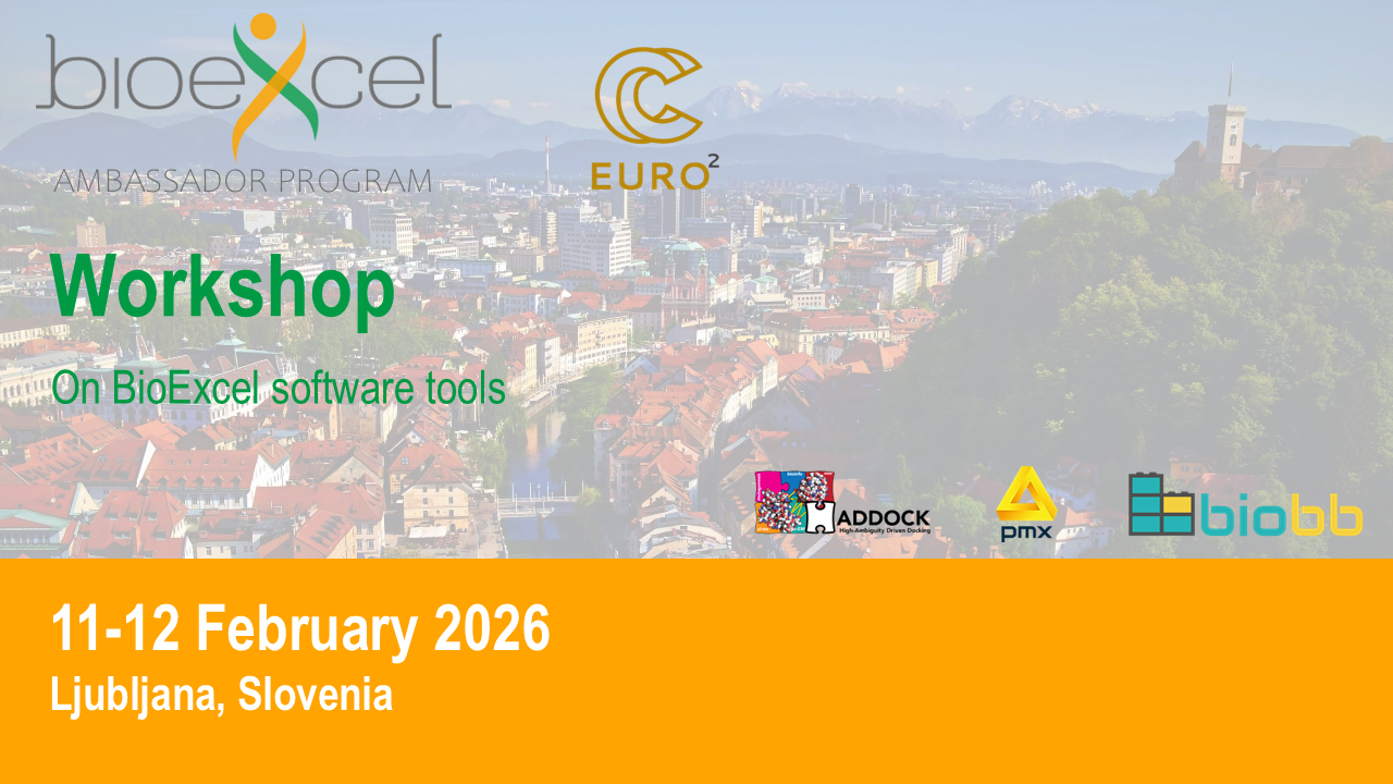 Workshop on BioExcel Software Tools