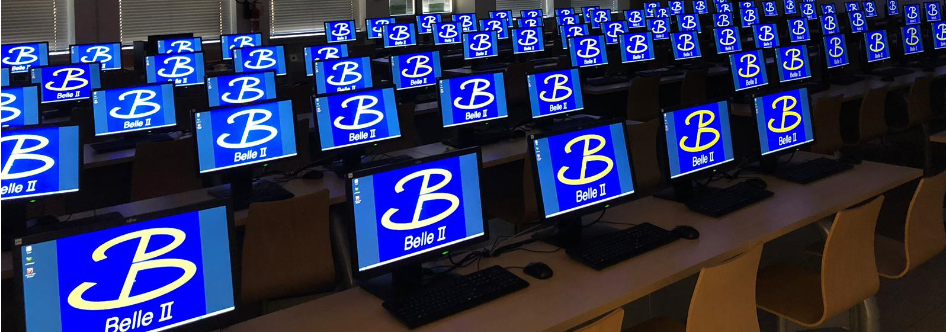 Belle II International Masterclasses 2026